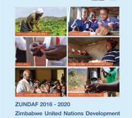 Publication cover - ZUNDAF 2016 - 2020